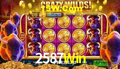 Suporte prioritário e eventos VIP