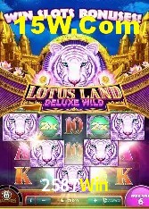 Experiência VIP 2587Win